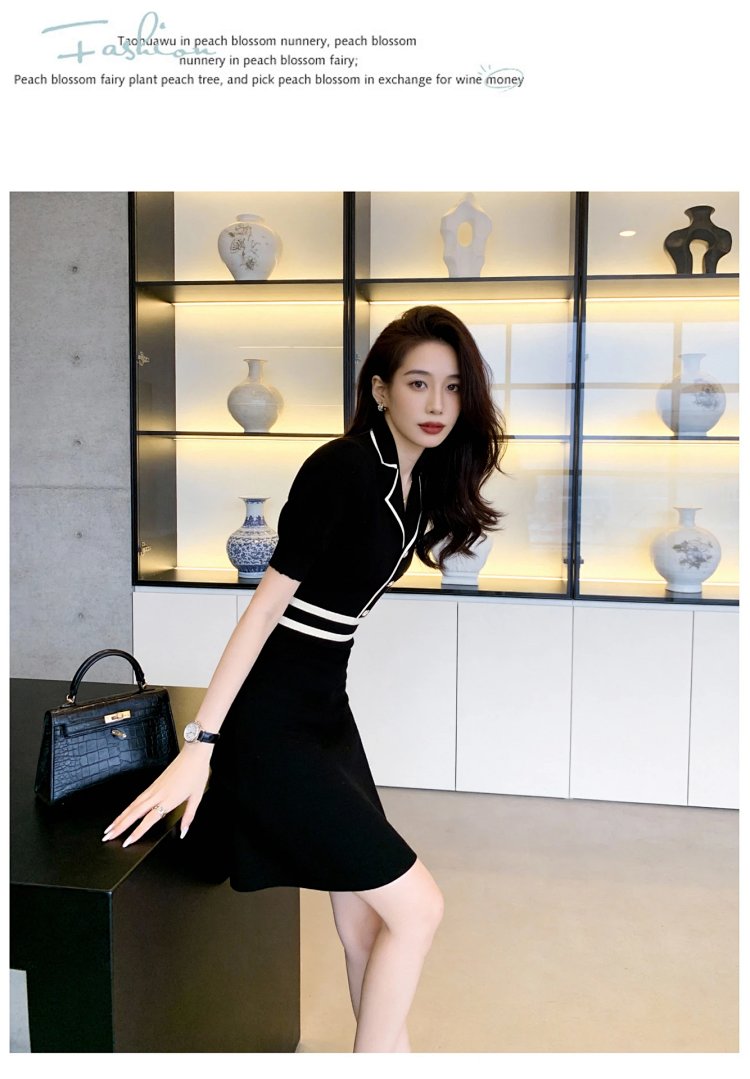 skirt  Summer Ice Silk Knitted French Dress