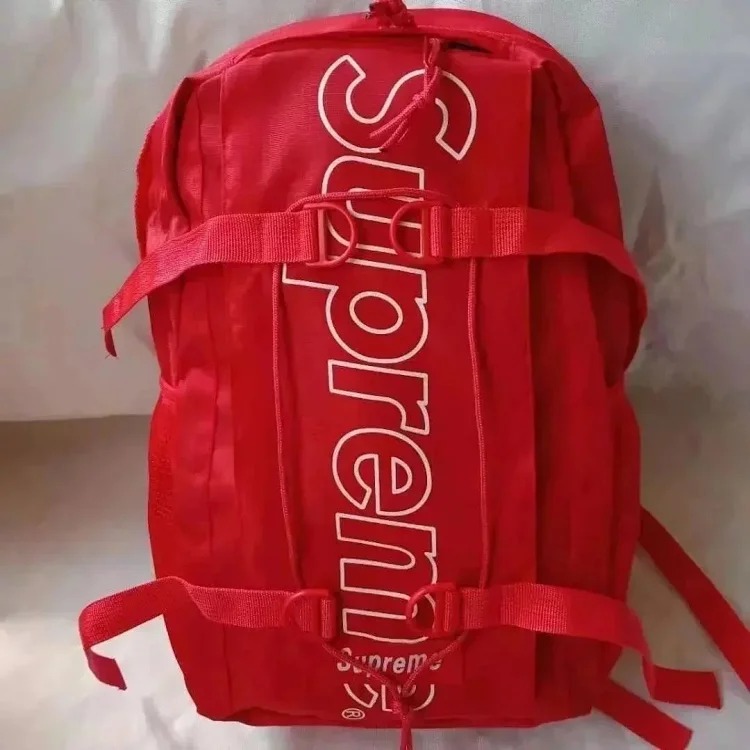 Stylish backpack