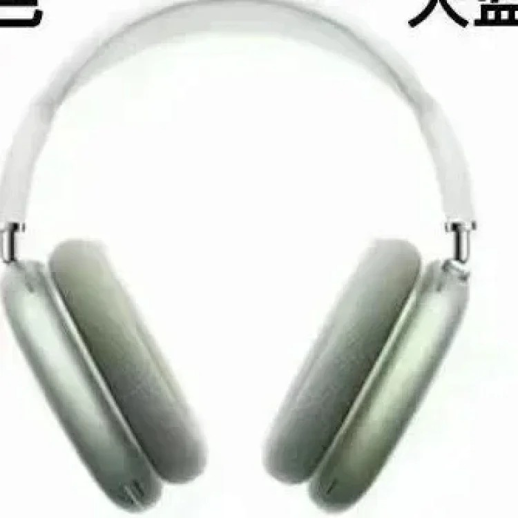 Fashion Accessory 7797884209