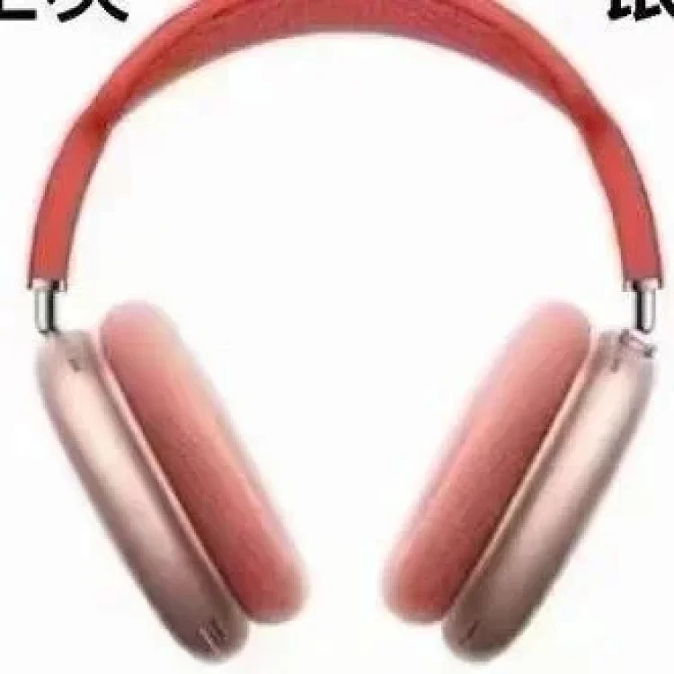 Fashion Accessory 7797884209