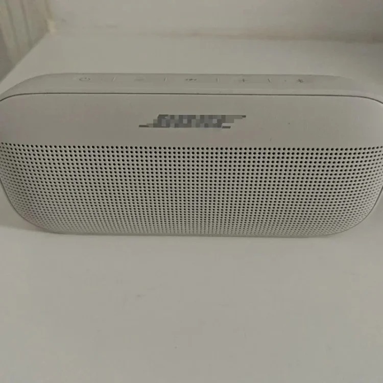 Bose FLEX Dome