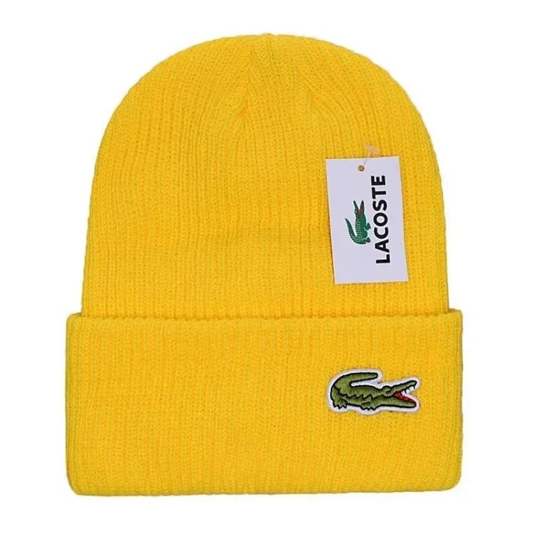 Autumn and winter fashionable knitted hat 03