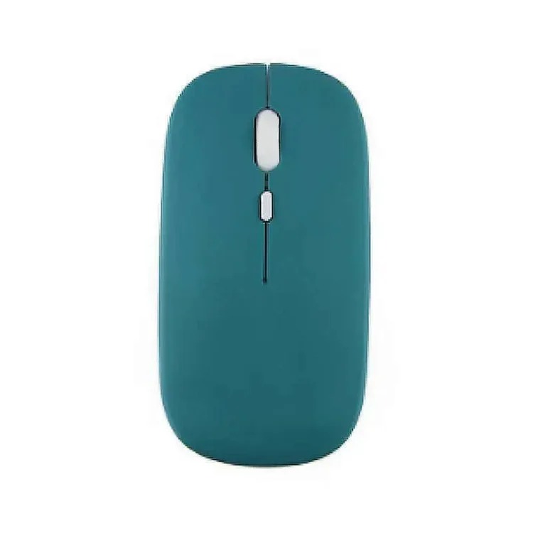 Fashion Accessory 7801159608