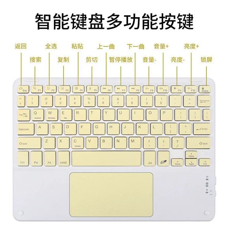 Fashion Accessory 7797773267