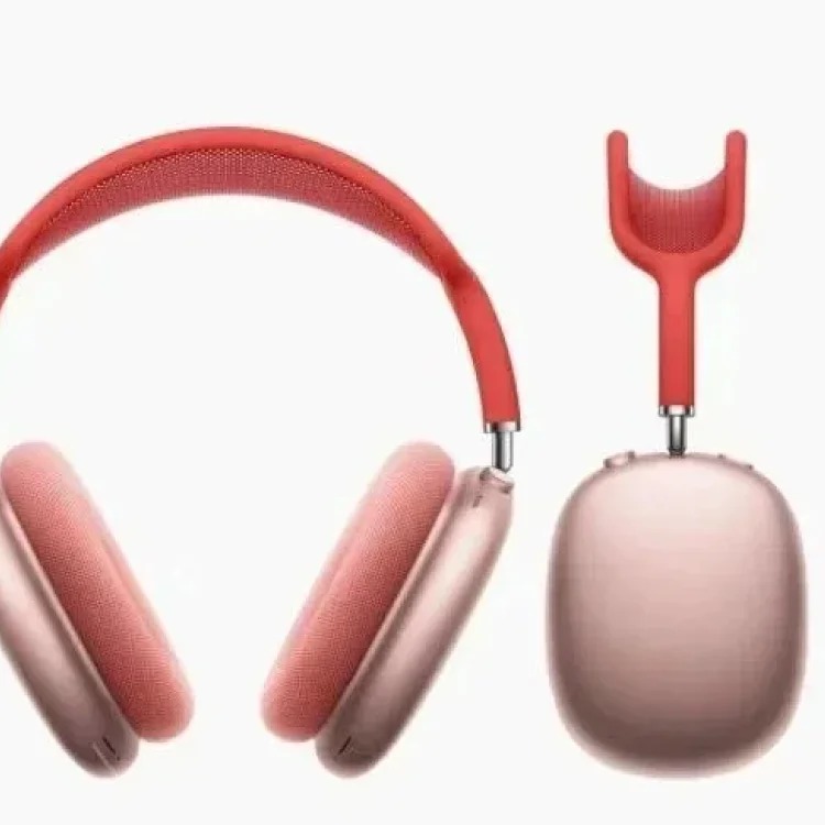 Fashion Accessory 7798368725