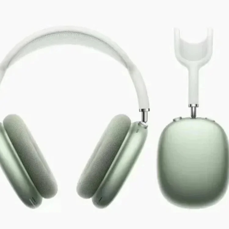 Fashion Accessory 7798368725