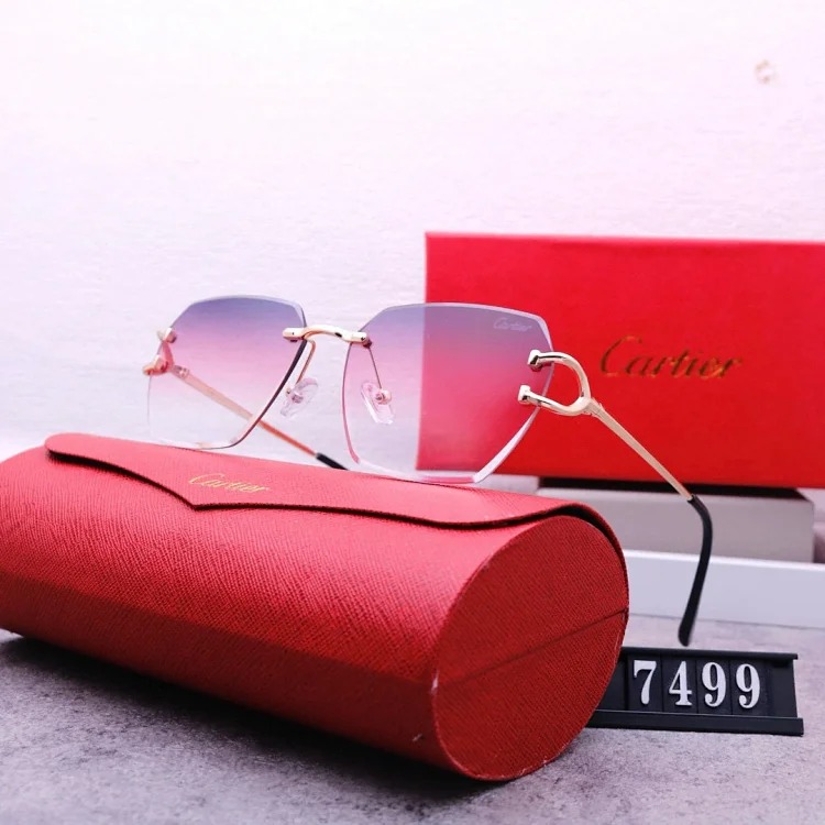 NEW-1 Not all sunglasses are called "fashionable", but mine is exactly the style!