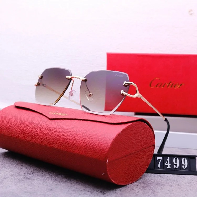 NEW-1 Not all sunglasses are called "fashionable", but mine is exactly the style!