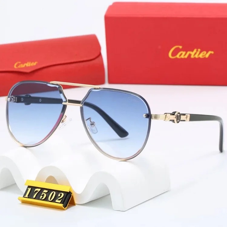 NEW-1 Not all sunglasses are called "fashionable", but mine is exactly the style!