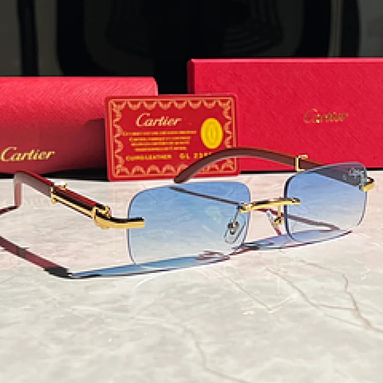 New fashion trendy sunglasses 074