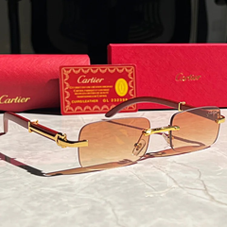 New fashion trendy sunglasses 074