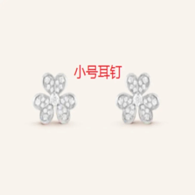 Premium Earrings