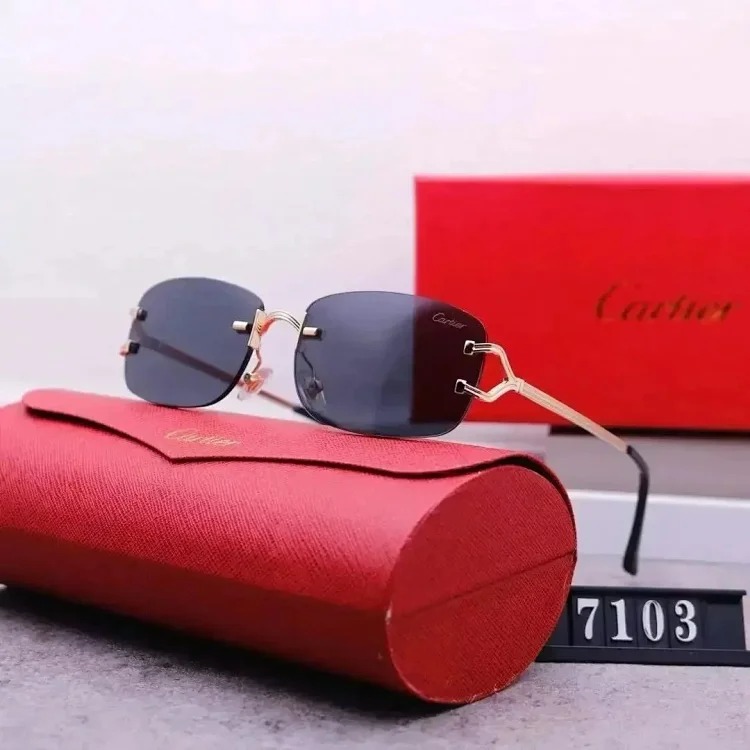 Fashion Sunglasses