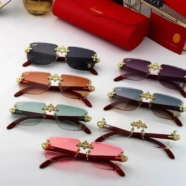 Fashion Sunglasses