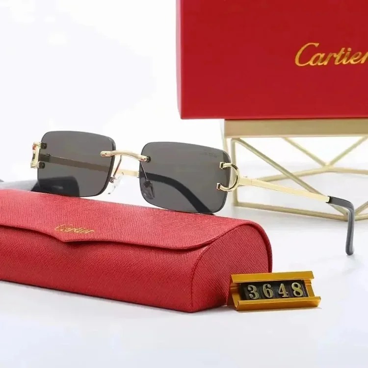 Fashion Sunglasses