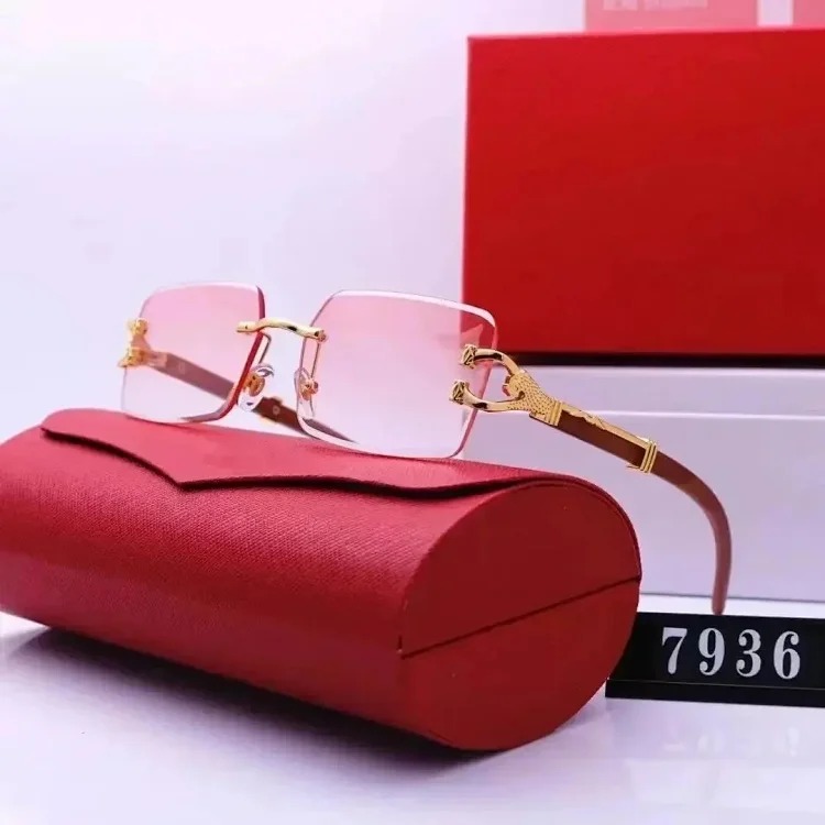 Fashion Sunglasses