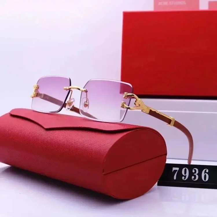 Fashion Sunglasses