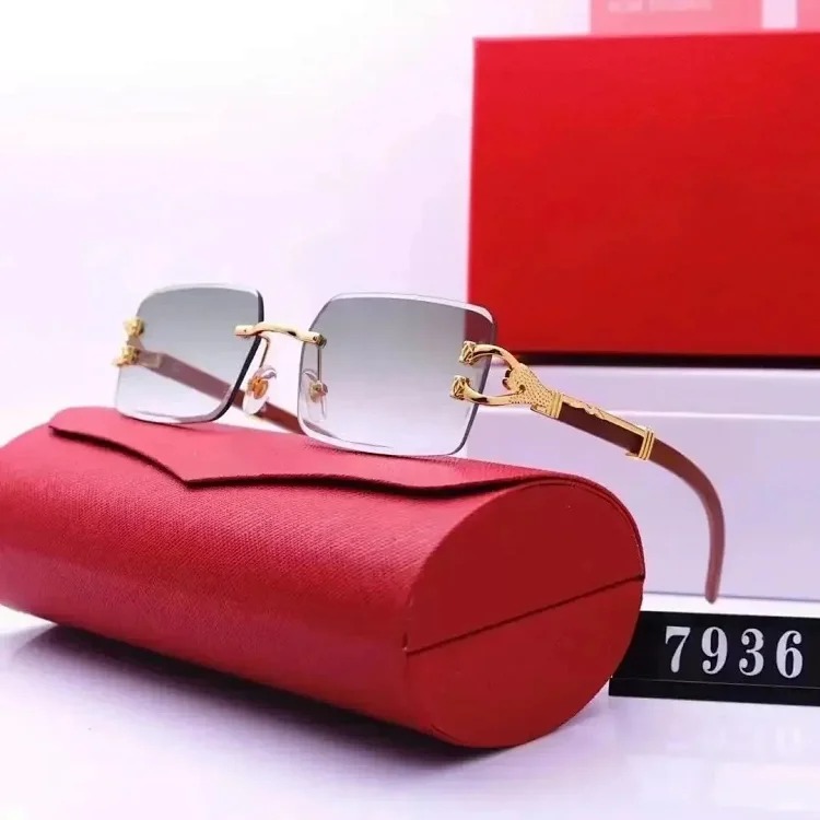 Fashion Sunglasses