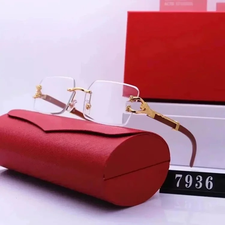 Fashion Sunglasses