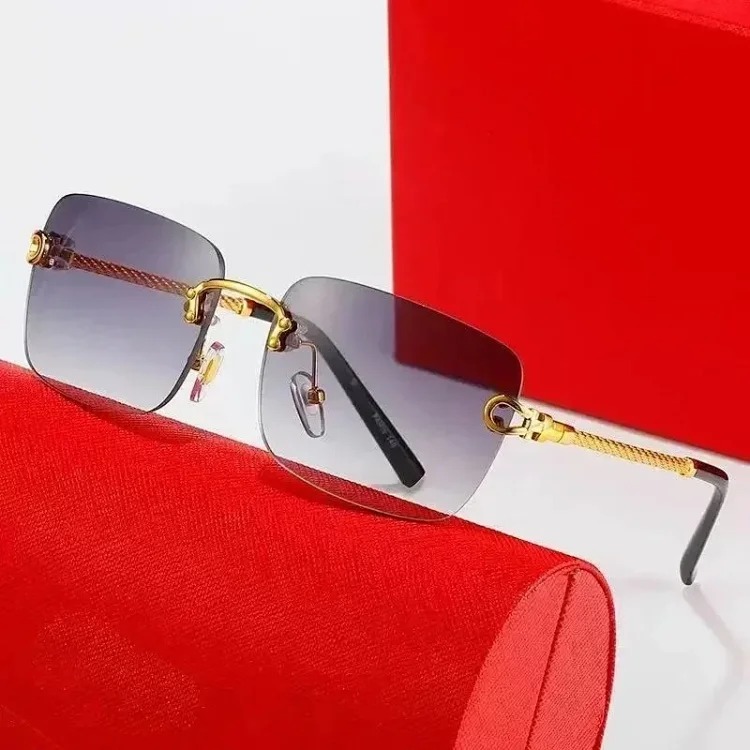 Fashion Sunglasses