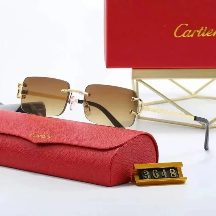 Fashion Sunglasses