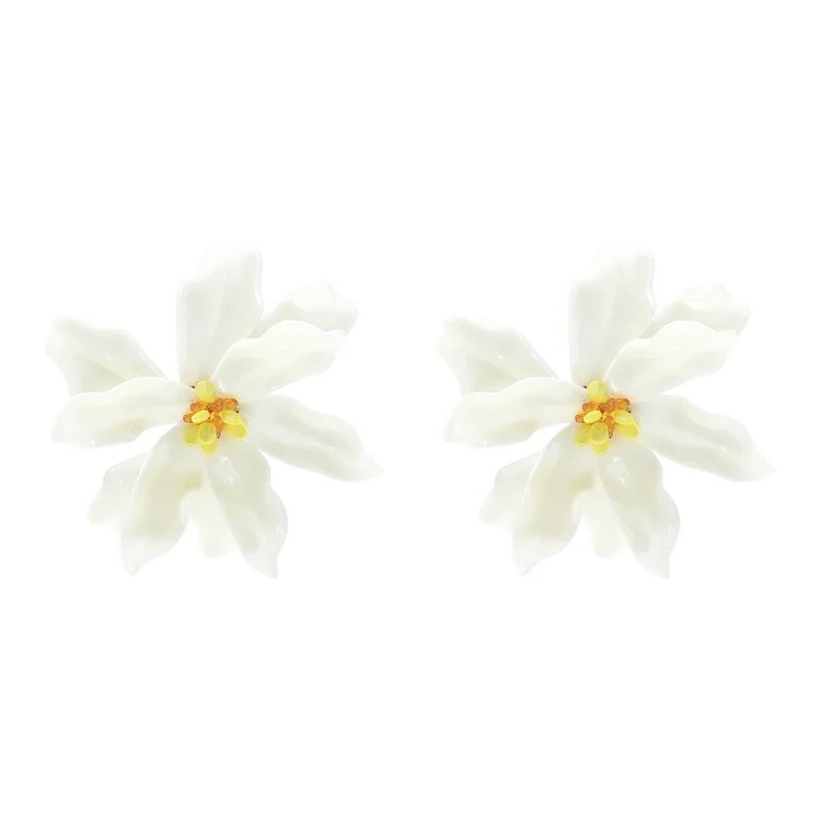 Fashion Earrings